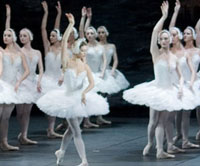 Swan Lake. Click to enlagre