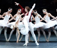 Swan Lake. Click to enlagre